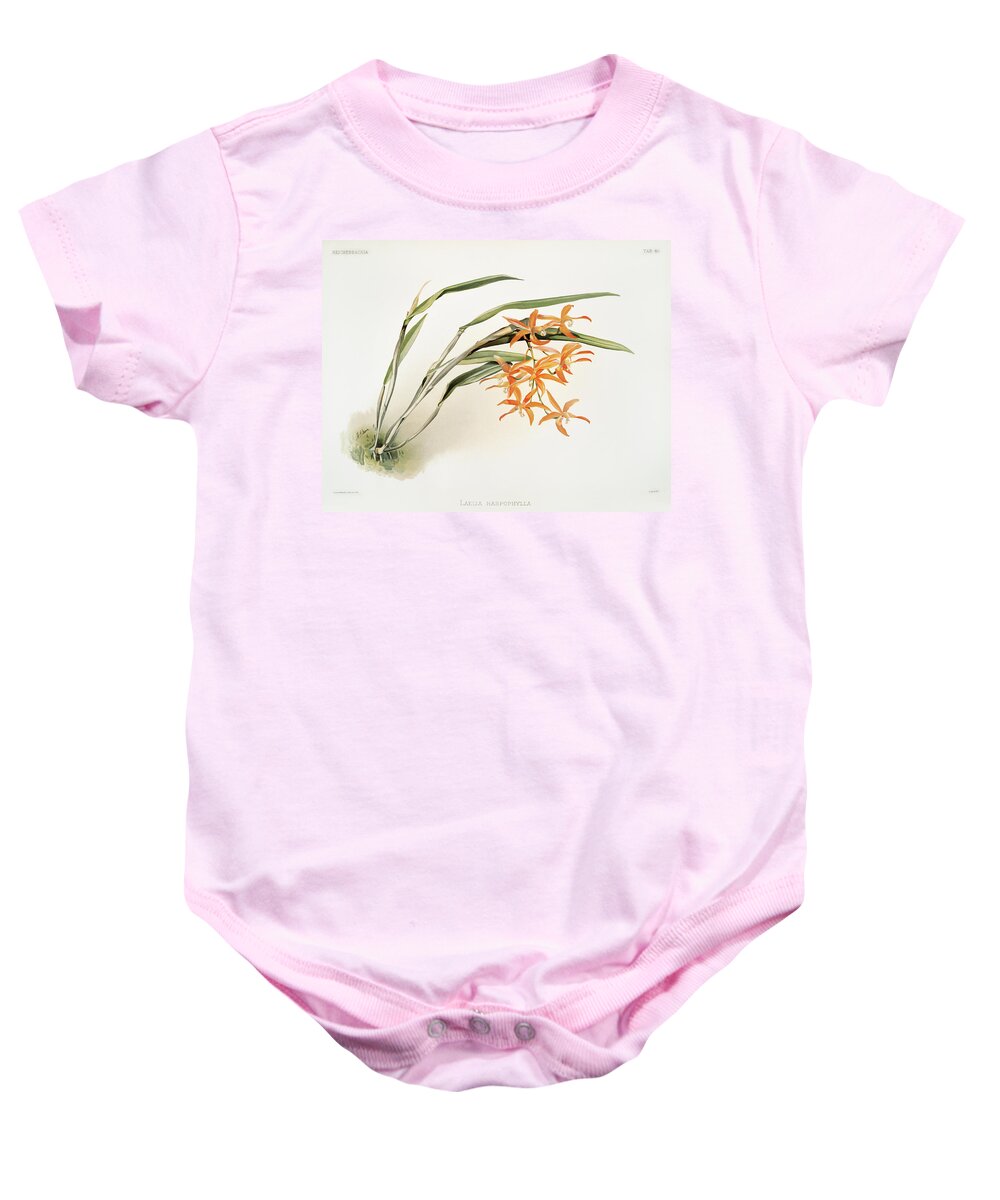 Reichenbachia Orchids Baby Onesie featuring the painting Laella harpophylla Orchid by World Art Collective