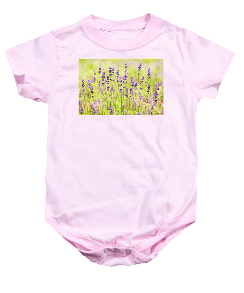 Lavender Baby Onesie featuring the photograph Lavender Field by Elvira Peretsman