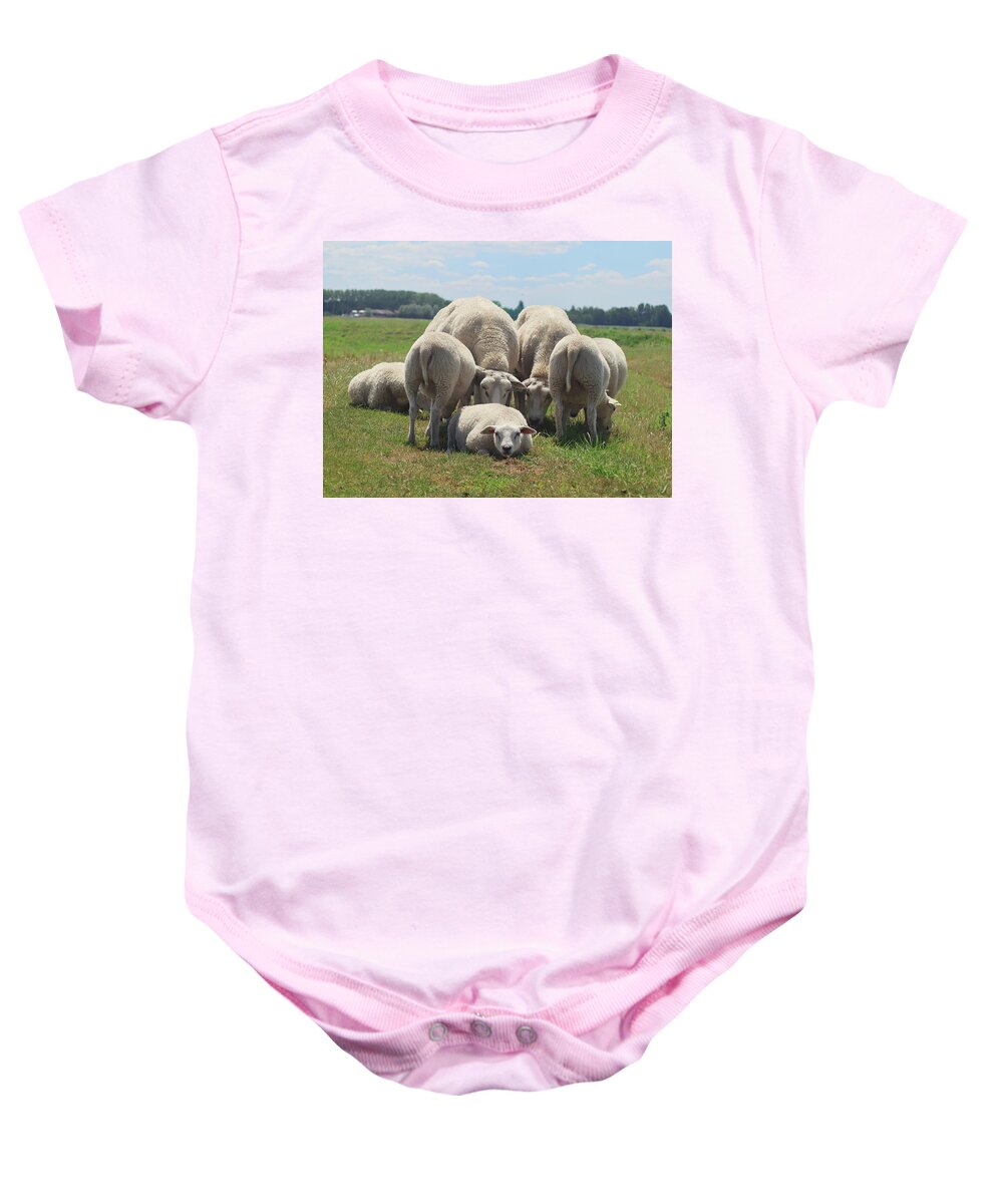 Sheep Baby Onesie featuring the photograph Looking for me sheep by MPhotographer