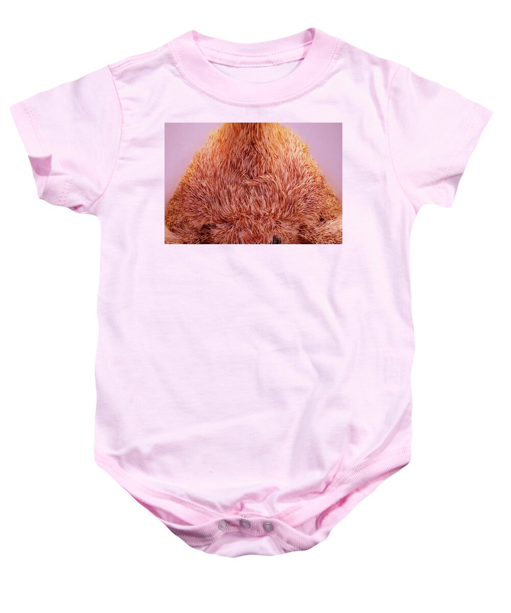 Moth Baby Onesie featuring the photograph Live Moth Head On by Daniel Reed