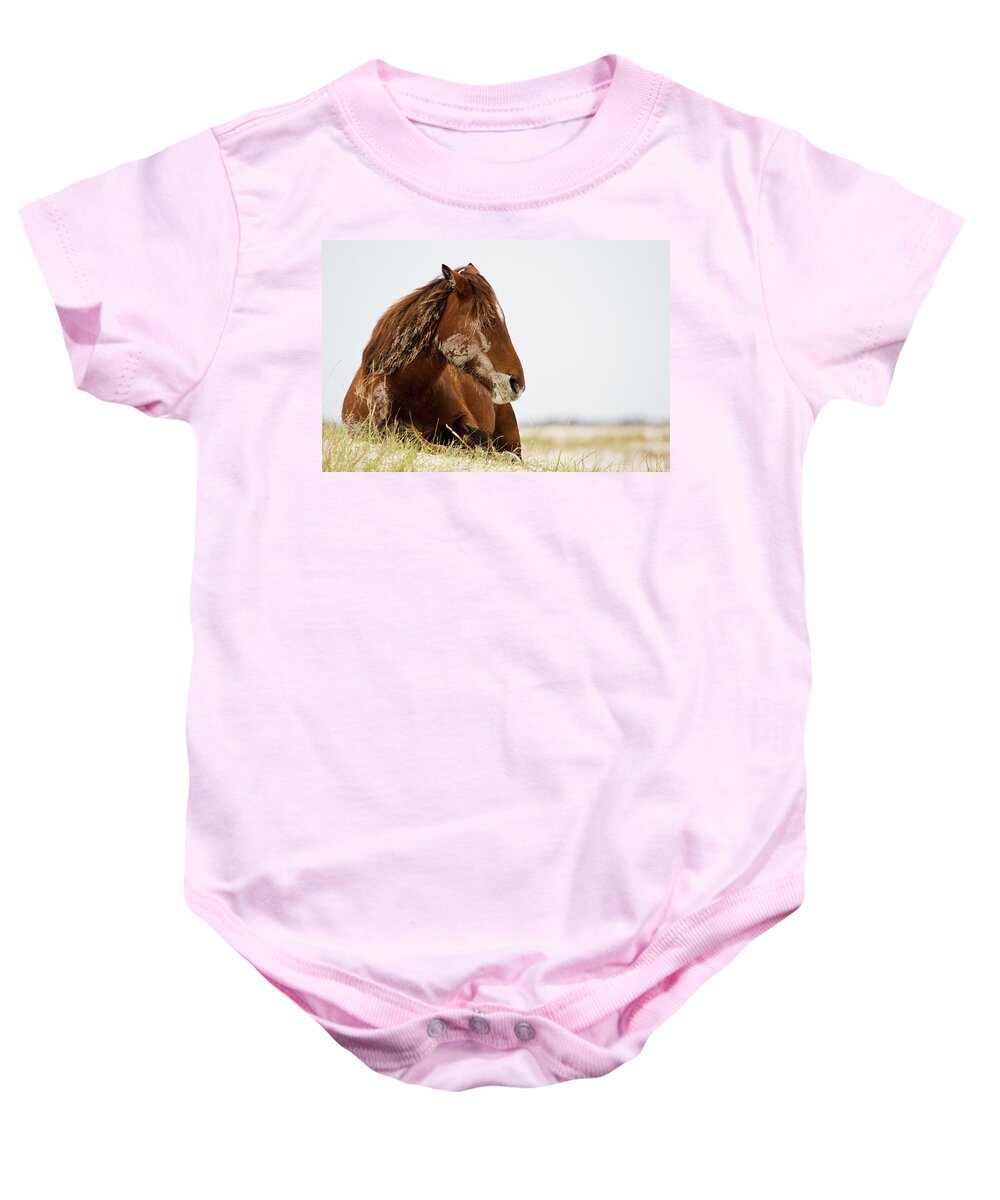 Wild Horse Baby Onesie featuring the photograph Napping Wild Mustang Wakes Up by Bob Decker