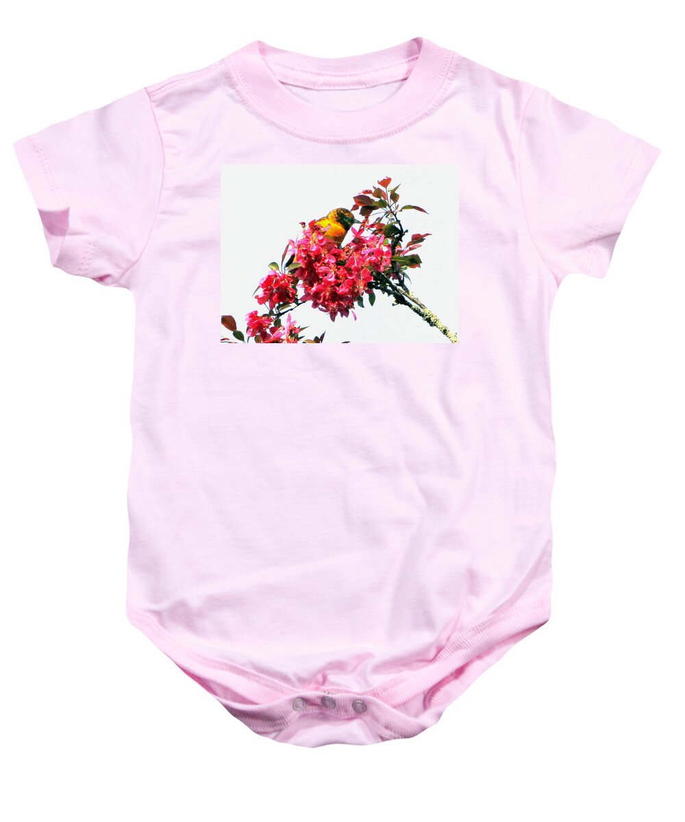 Oriole Baby Onesie featuring the digital art Oriole by Cliff Wilson