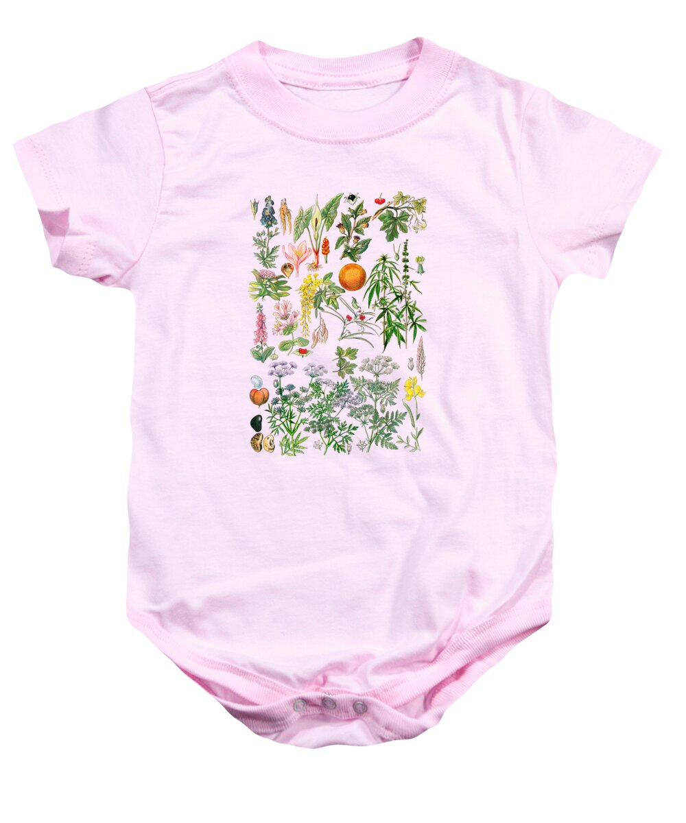 Botanical Baby Onesie featuring the digital art Plant Chart by Madame Memento