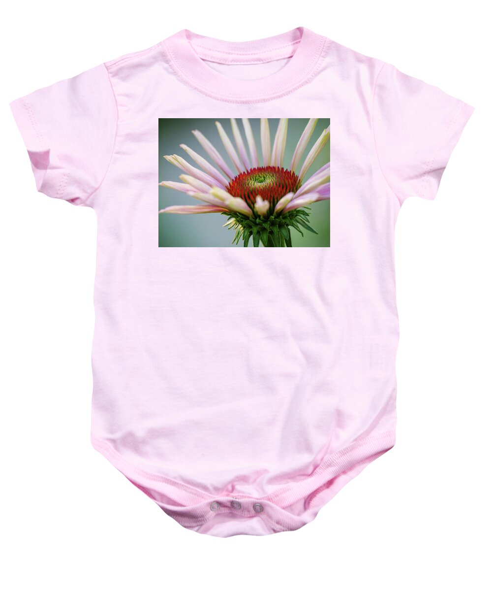 Echinacea Baby Onesie featuring the photograph Purple Coneflower 3 by Todd Bannor