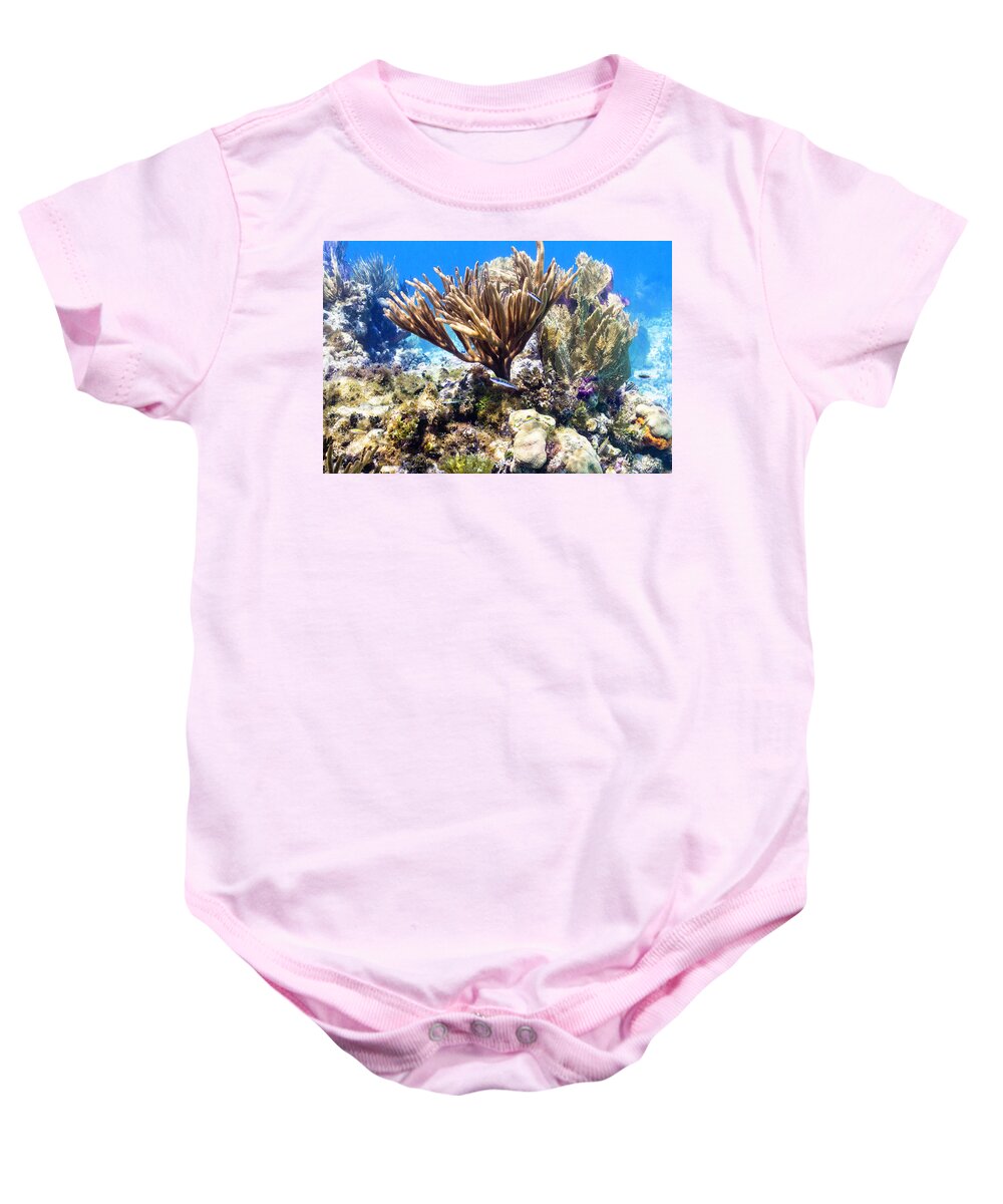 Coral Baby Onesie featuring the photograph The Nursery by Lynne Browne