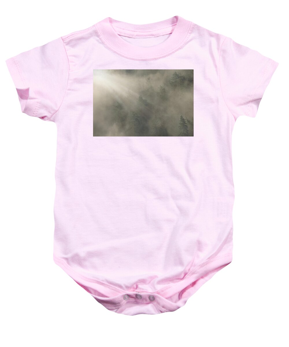 Trees Baby Onesie featuring the photograph Trees in morning fog by Joana Kruse