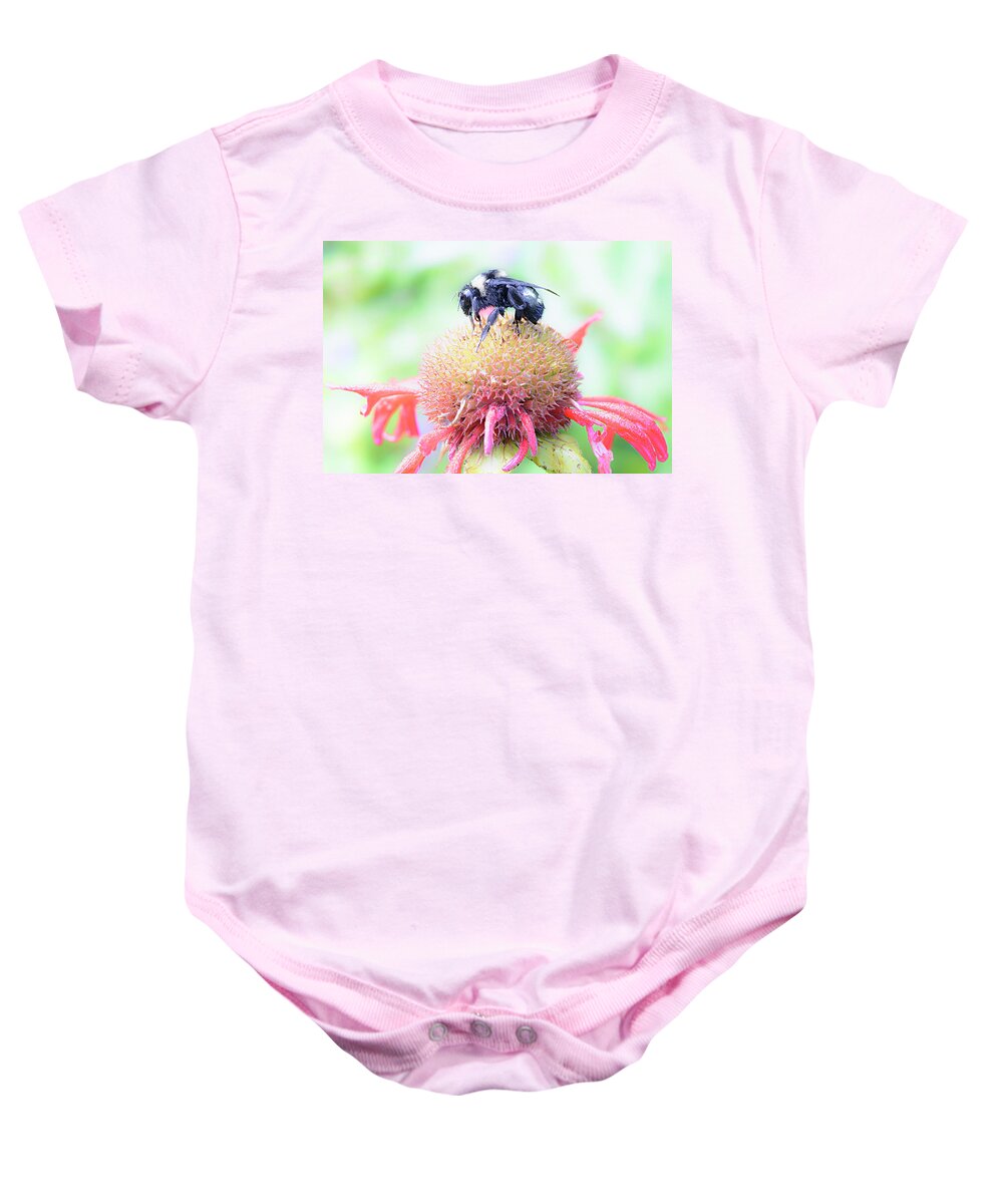 Bee Baby Onesie featuring the photograph Untitled_eeb by Paul Vitko