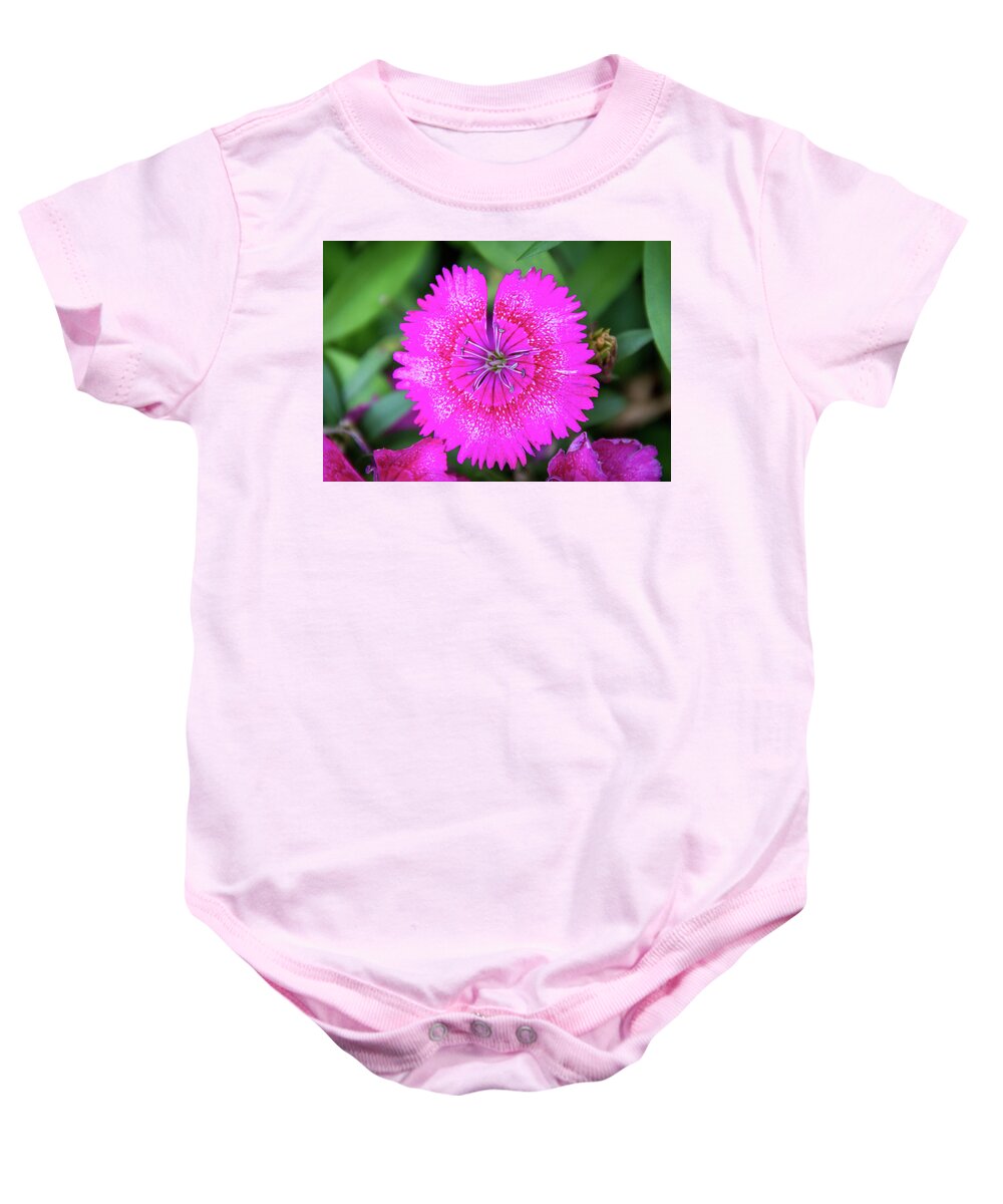 China Pink Baby Onesie featuring the photograph Vibrant Pink Dianthus by Debra Martz