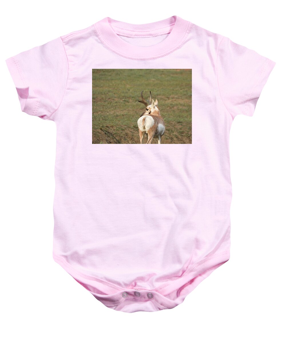 Antelope Baby Onesie featuring the photograph Watchful Antelope by Amanda R Wright