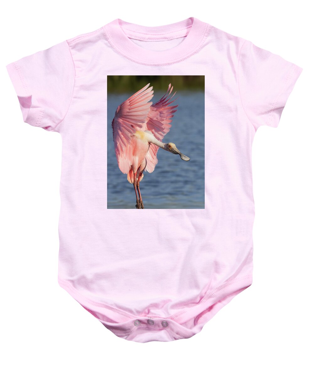 Roseate Spoonbill Baby Onesie featuring the photograph Wings up, neck out by RD Allen