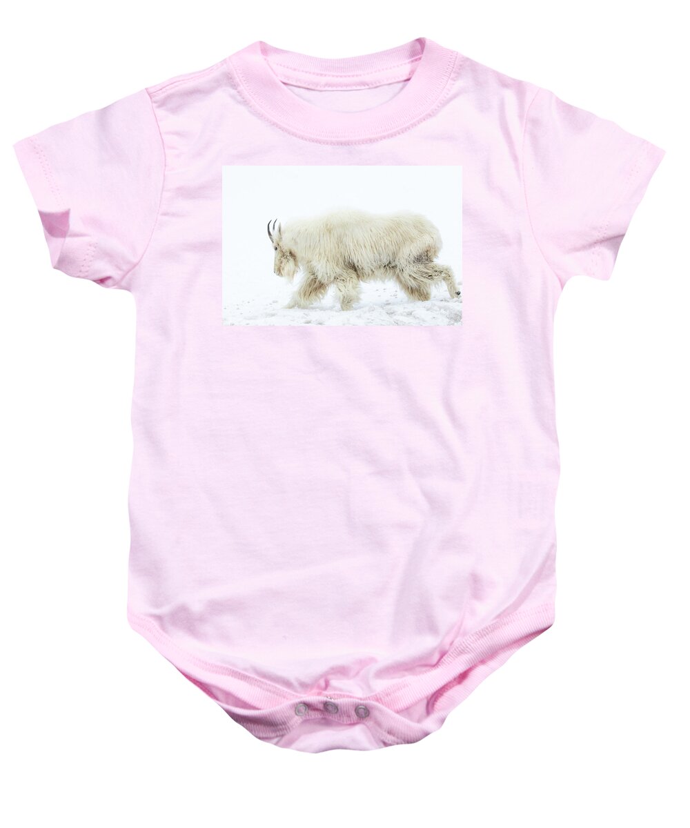 Mountain Goat Baby Onesie featuring the photograph Winter Mountain Goat by Wesley Aston