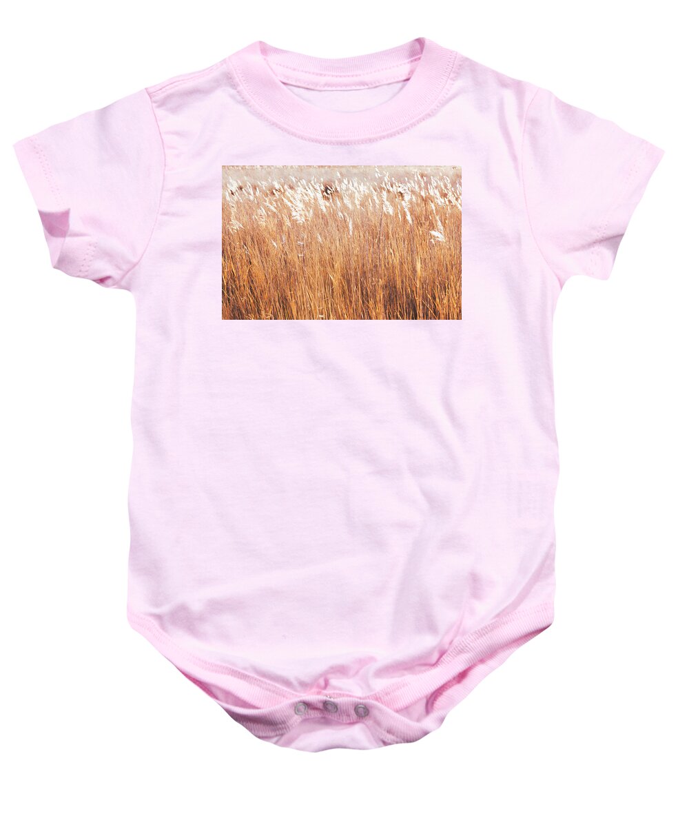 Utah Baby Onesie featuring the photograph Yellow Grasses by Mark Gomez
