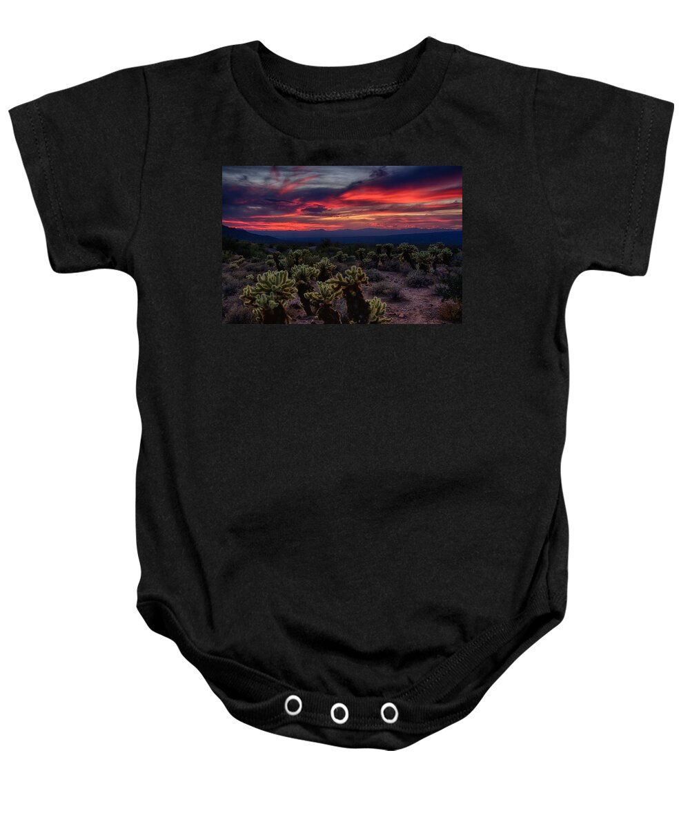 Sunset Baby Onesie featuring the photograph A Cholla Sunset #1 by Saija Lehtonen