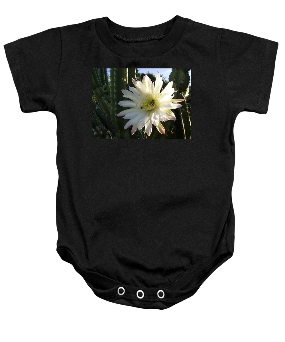 Cactus Baby Onesie featuring the photograph Flowering Cactus 1 by Mariusz Kula