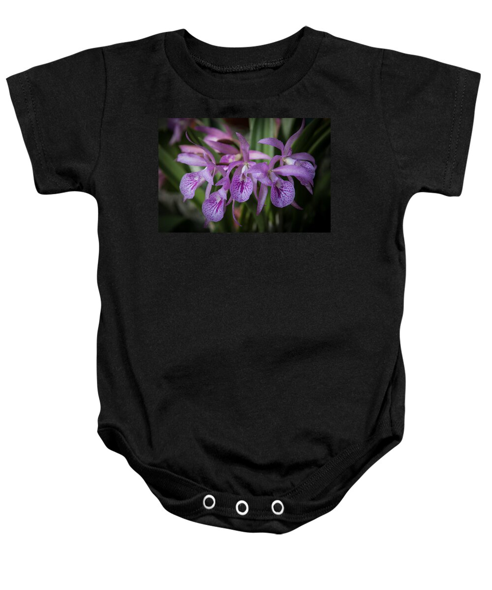 Penny Lisowski Baby Onesie featuring the photograph Lilac Orchid Cluster #1 by Penny Lisowski