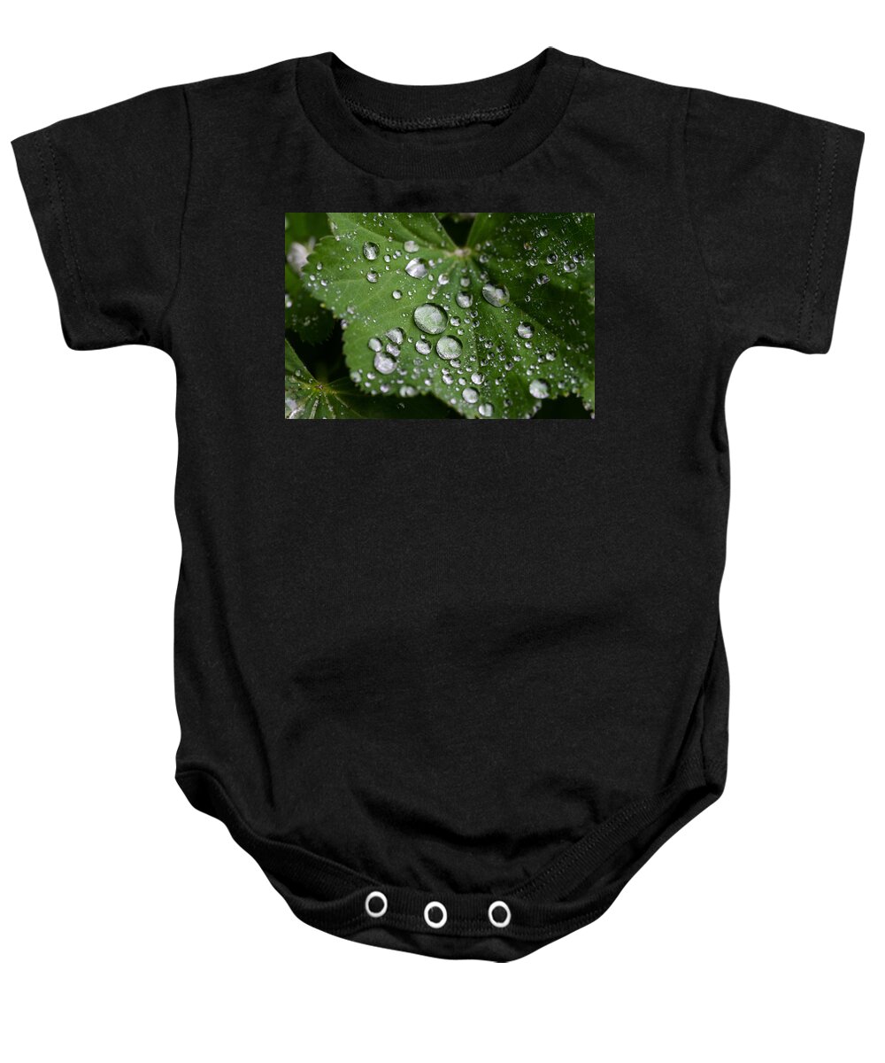 Dew Baby Onesie featuring the photograph Morning Dew #1 by Chevy Fleet