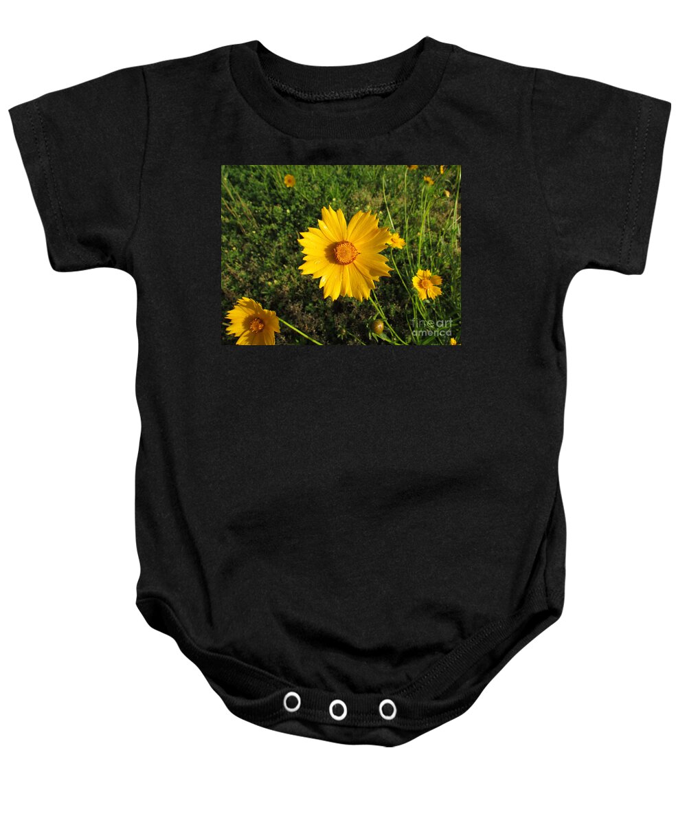 Flowers Baby Onesie featuring the photograph Morning Dew by Jamie Smith
