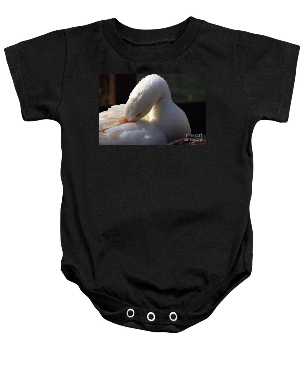 St James Lake Baby Onesie featuring the photograph Preening Goose by Jeremy Hayden