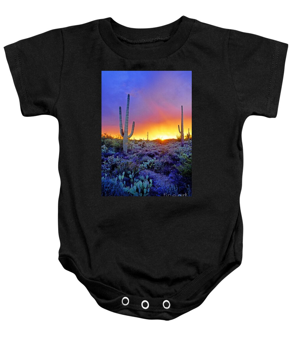 Sonoran Baby Onesie featuring the photograph Sonoran Desert At Dusk #3 by Adam Sylvester