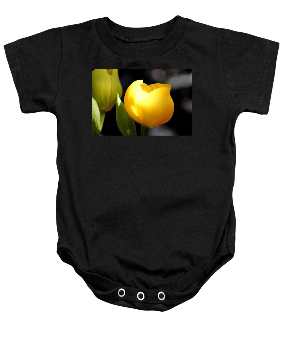 Garden Baby Onesie featuring the painting Untitled #8 by Henry Blackmon