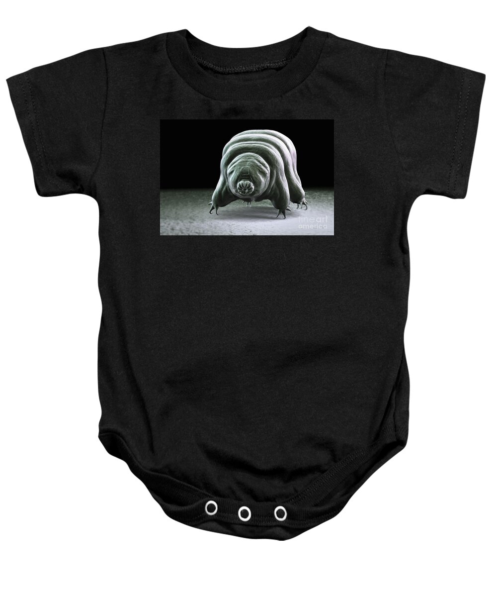 Protostomia Baby Onesie featuring the photograph Water Bear Tardigrades #12 by Science Picture Co