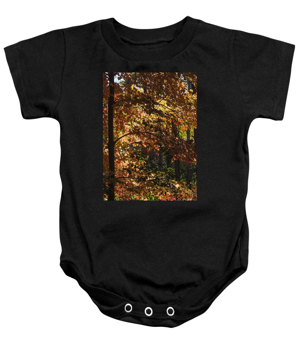 Maple Baby Onesie featuring the photograph Fall Maples - Arboretum - Madison by Steven Ralser