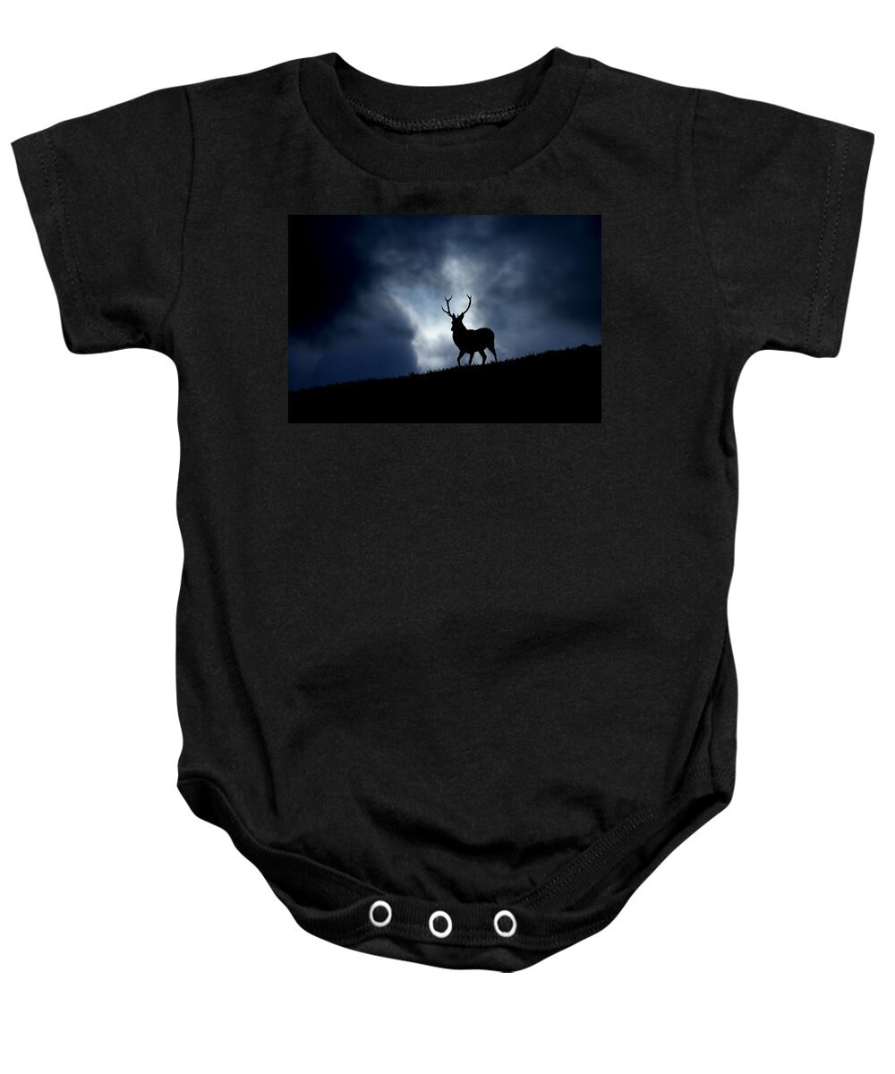 Stag Baby Onesie featuring the photograph Stag silhouette #2 by Gavin Macrae