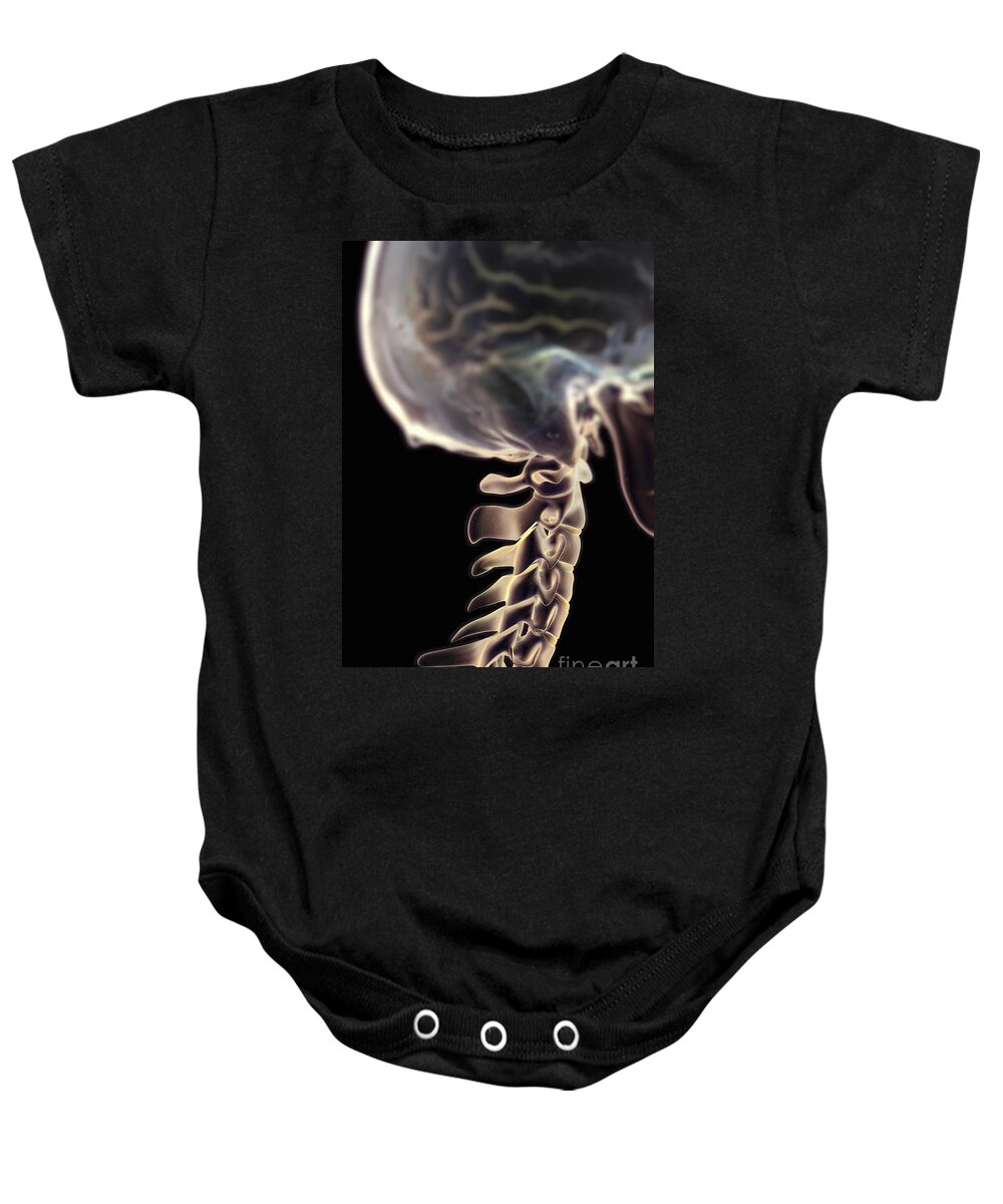 Human Body Baby Onesie featuring the photograph Cervical Vertebrae #4 by Science Picture Co