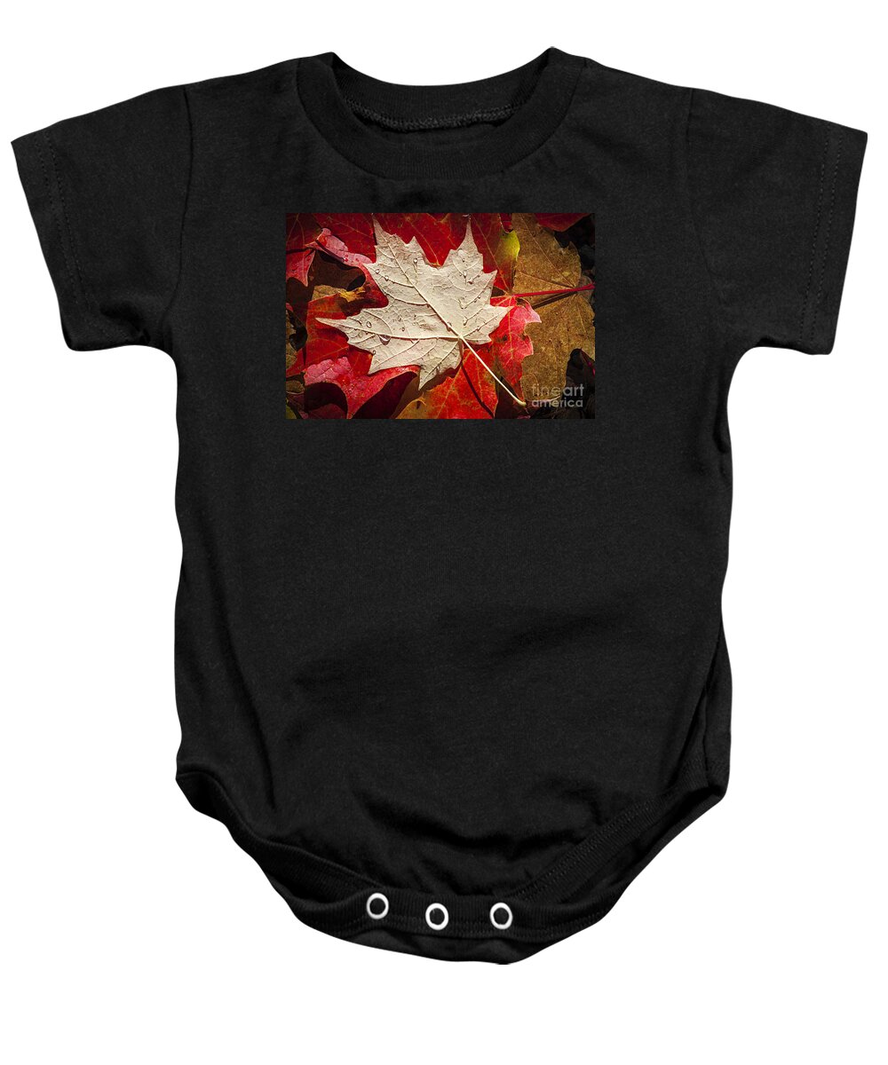 Fall Baby Onesie featuring the photograph Maple leaves in water by Elena Elisseeva