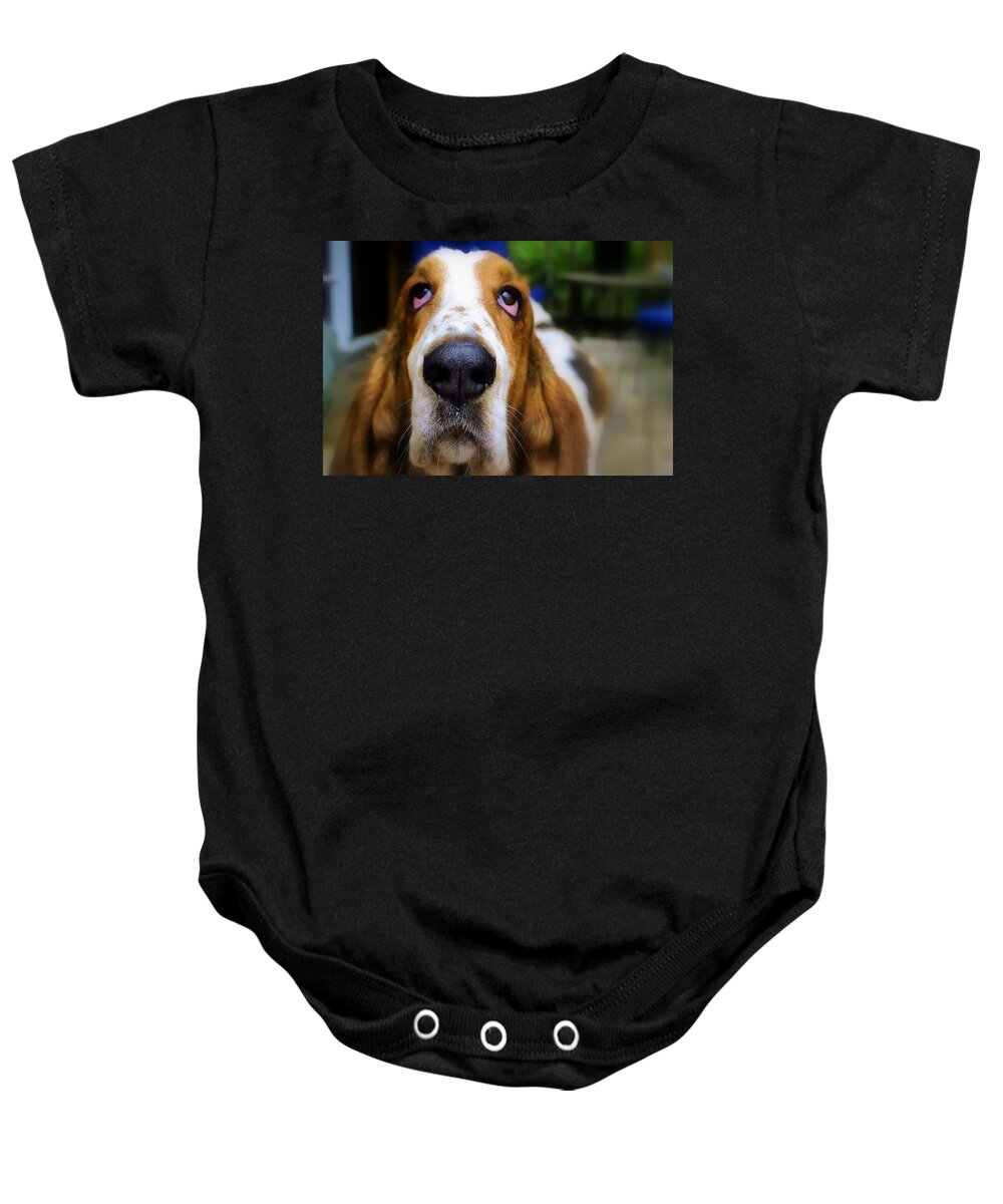Dog Baby Onesie featuring the photograph Basset Hound Mr. Moose by Marysue Ryan