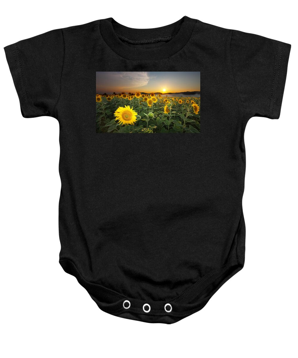 Summer Baby Onesie featuring the photograph Summer Morning #3 by Mircea Costina Photography
