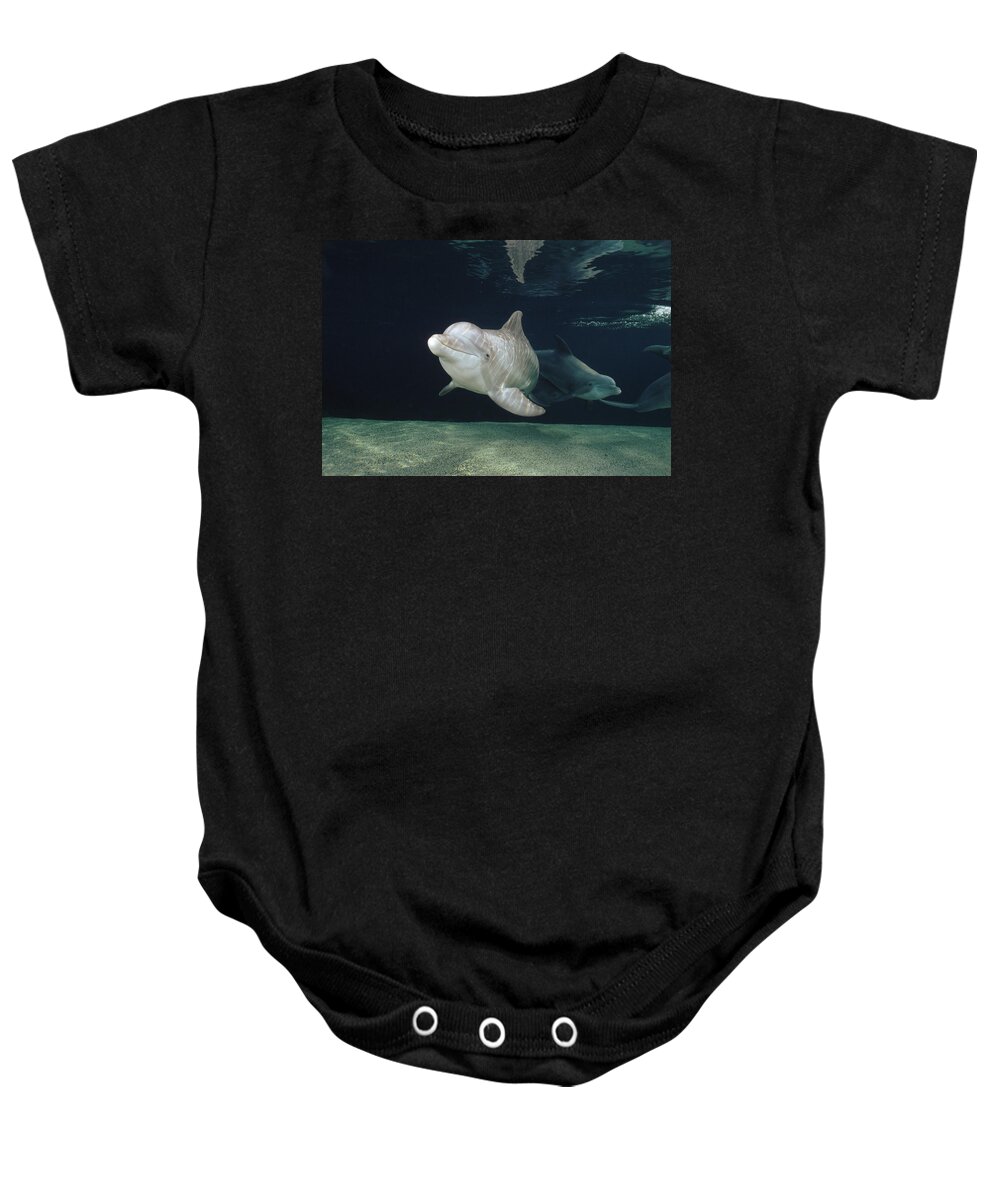 Feb0514 Baby Onesie featuring the photograph Bottlenose Dolphin Pair Hawaii by Flip Nicklin
