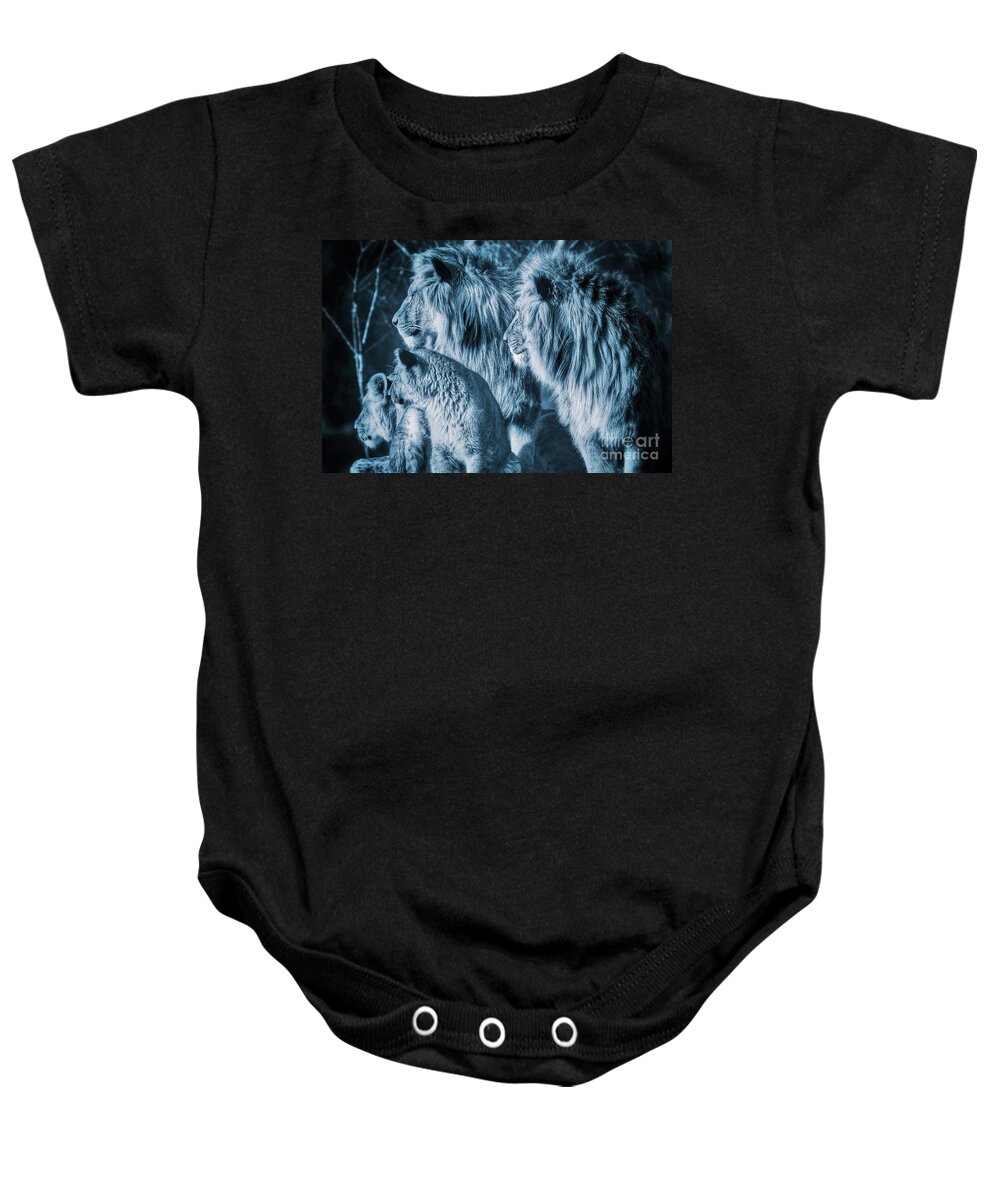 Lion Baby Onesie featuring the photograph Lion family close together looking in one direction by Nick Biemans