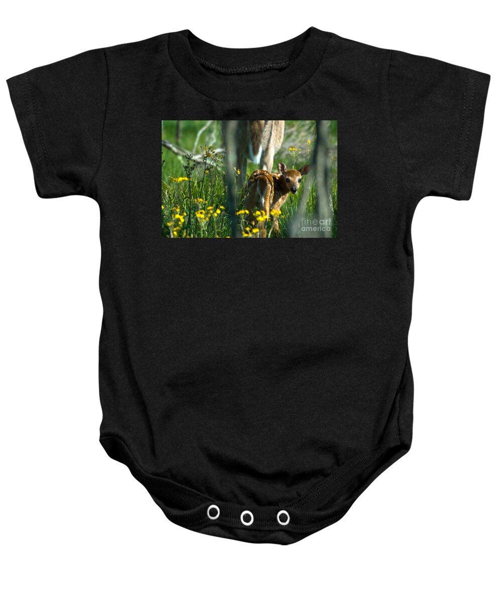Fauna Baby Onesie featuring the photograph Whitetail Deer Fawn #4 by Mark Newman