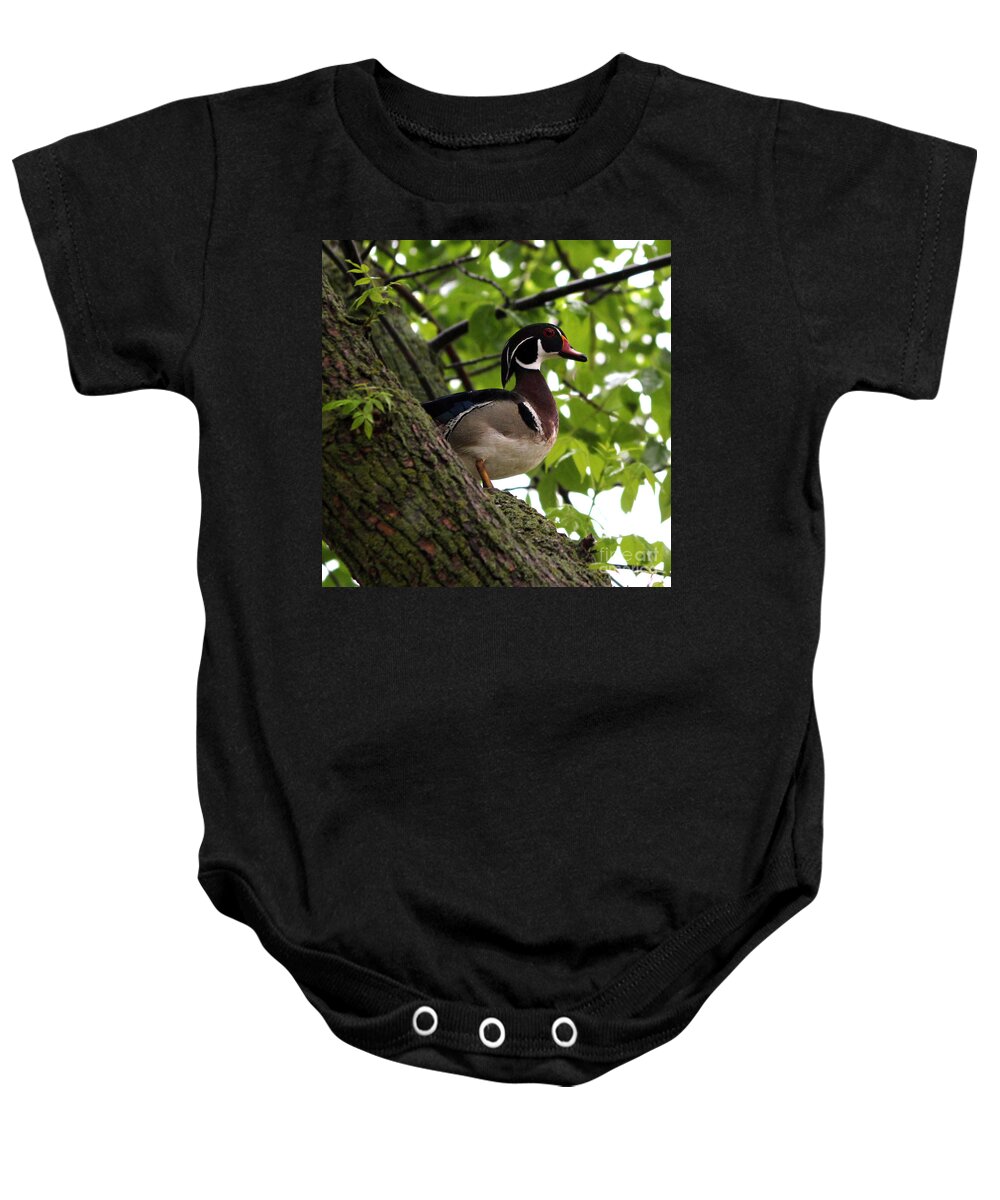 Wood Duck Baby Onesie featuring the photograph Wood duck #4 by Lori Tordsen