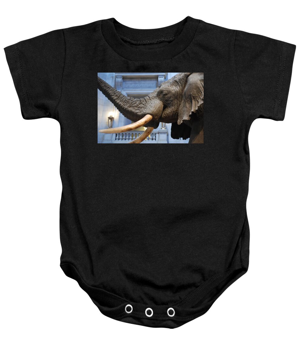Bull Elephant Baby Onesie featuring the photograph Bull Elephant in Natural History Rotunda by Kenny Glover