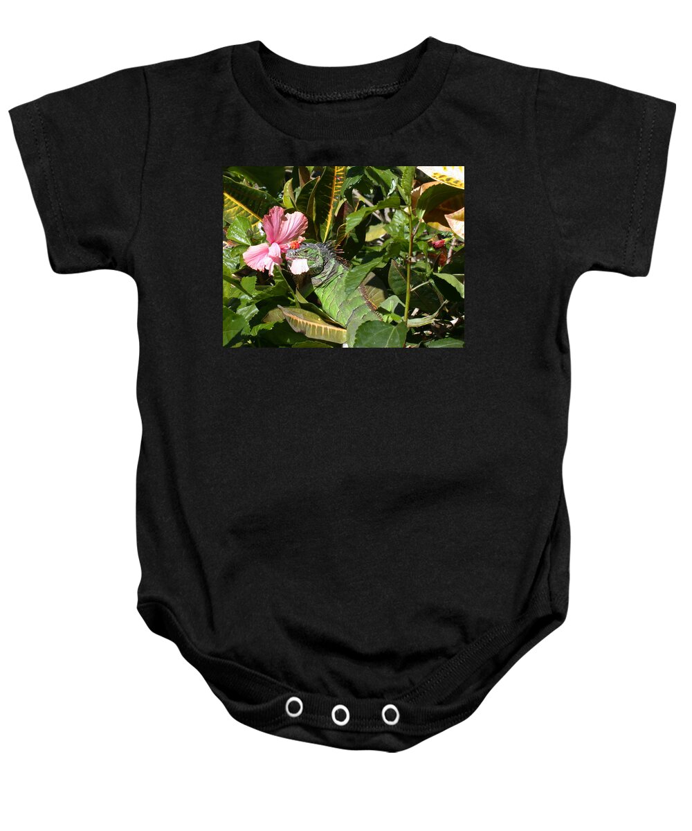 Iguana Baby Onesie featuring the photograph A Colorful Meal by Shane Bechler