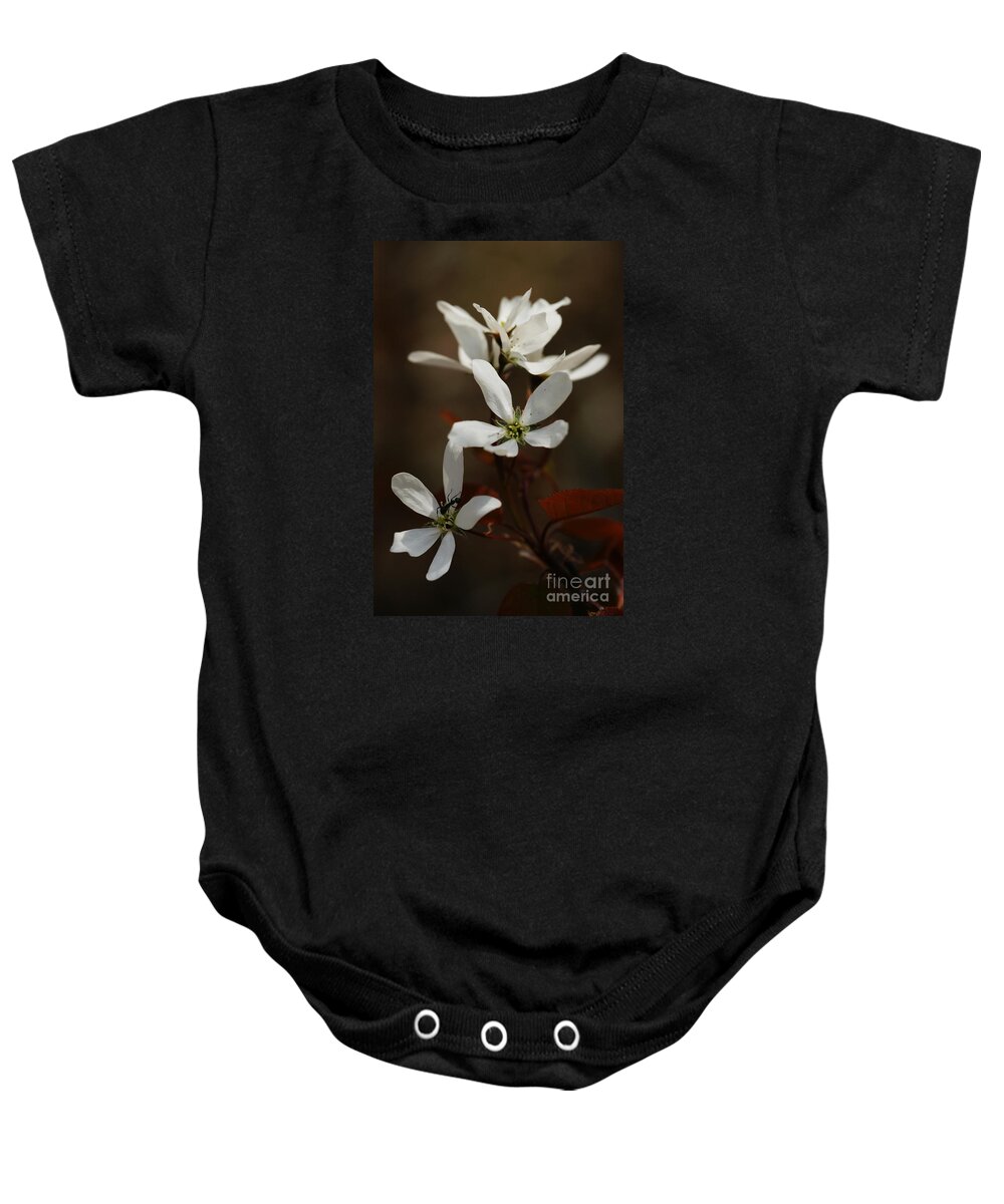 Ant Baby Onesie featuring the photograph Above The Coppery-Red by Linda Shafer