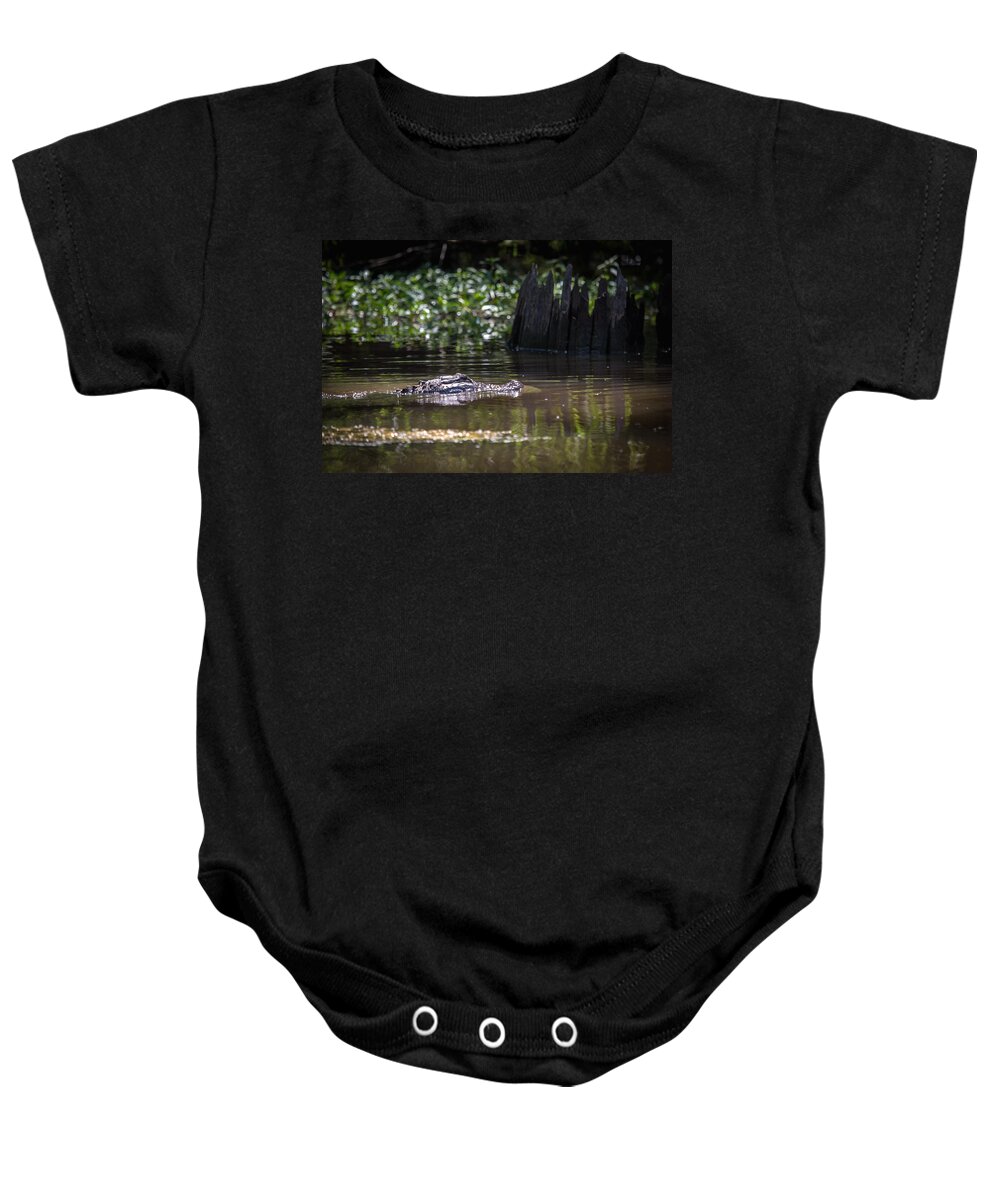 Alligator Baby Onesie featuring the photograph Alligator Swimming in Bayou 2 by Gregory Daley MPSA