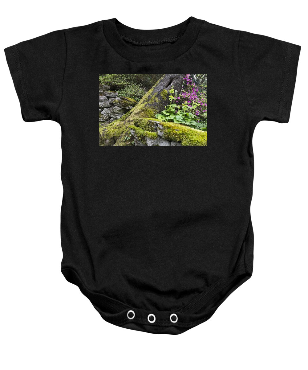 Nature Baby Onesie featuring the photograph Along The Pathway by Priya Ghose