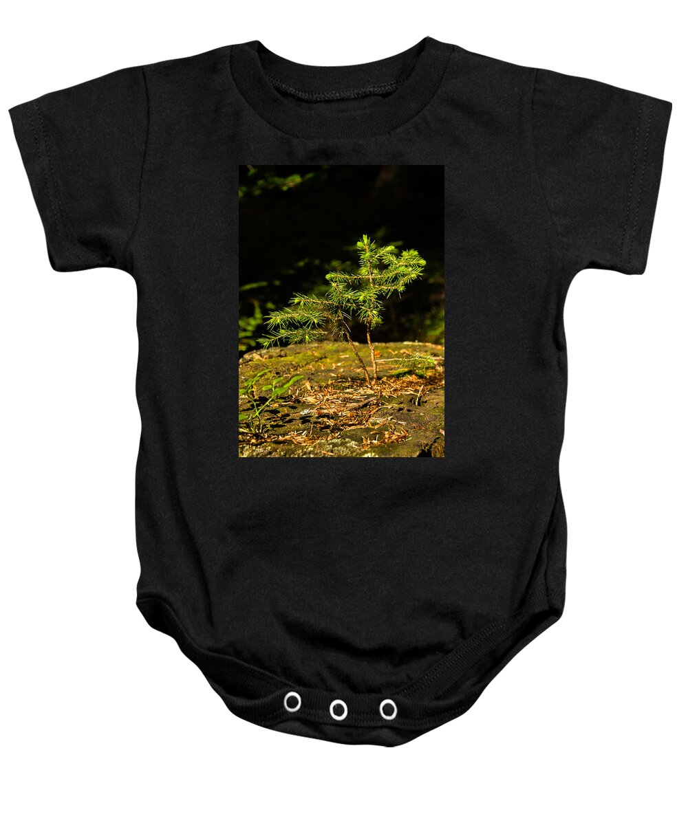 Tree Baby Onesie featuring the photograph Ambitious Spruce by Andreas Berthold