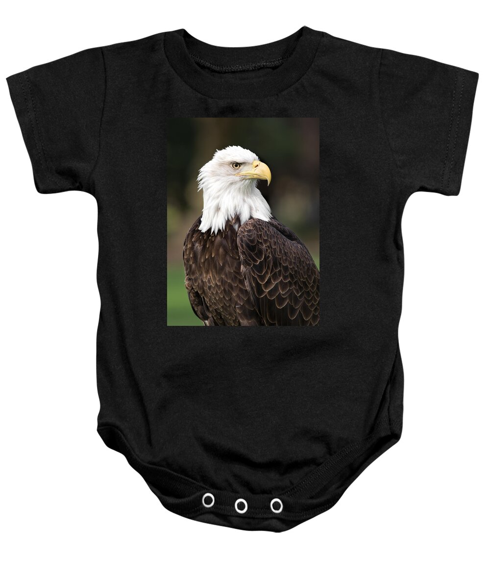 Bald Eagle Baby Onesie featuring the photograph American Bald Eagle by Dale Kincaid