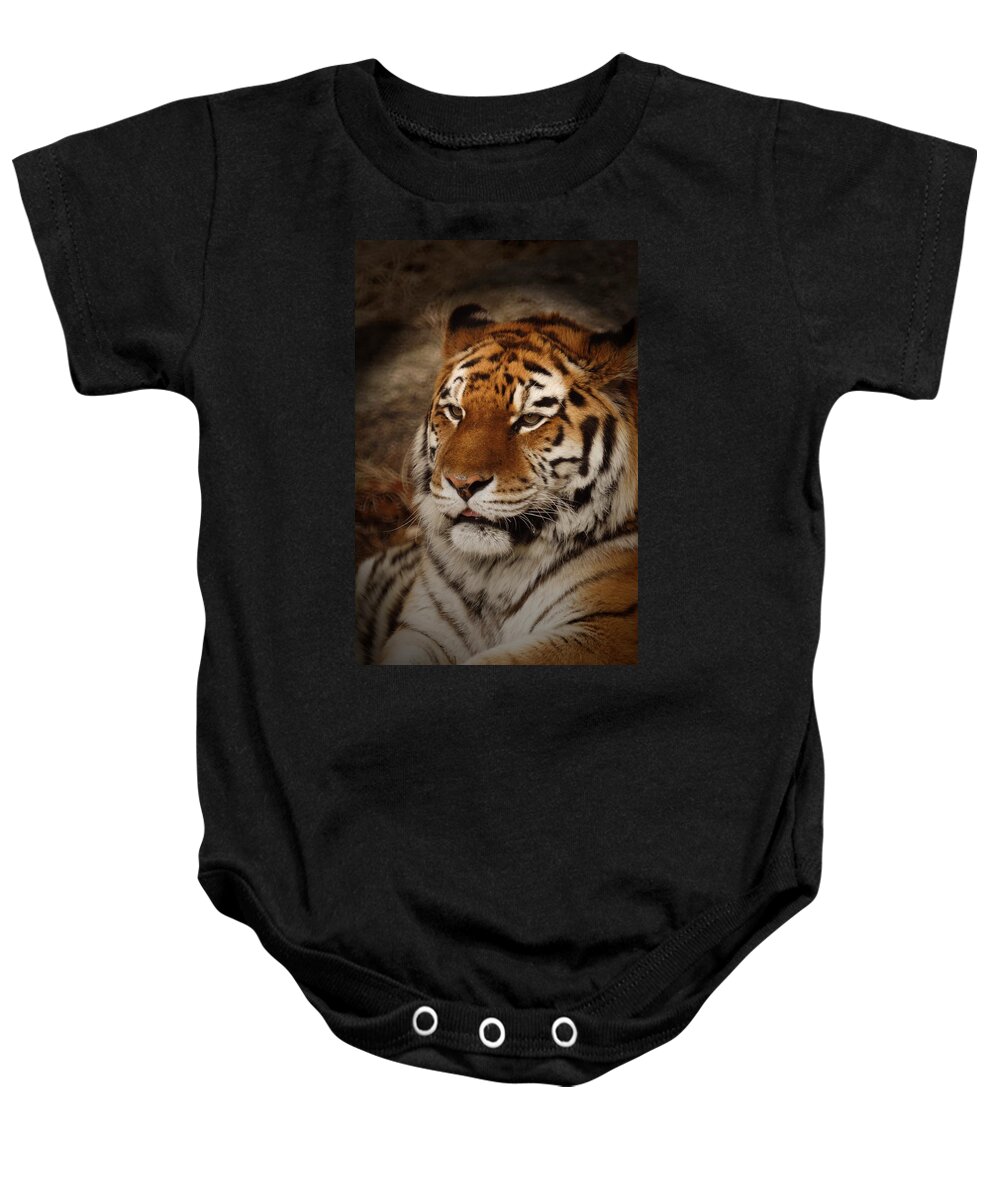 Tiger Baby Onesie featuring the photograph Amur Tiger by Ernest Echols