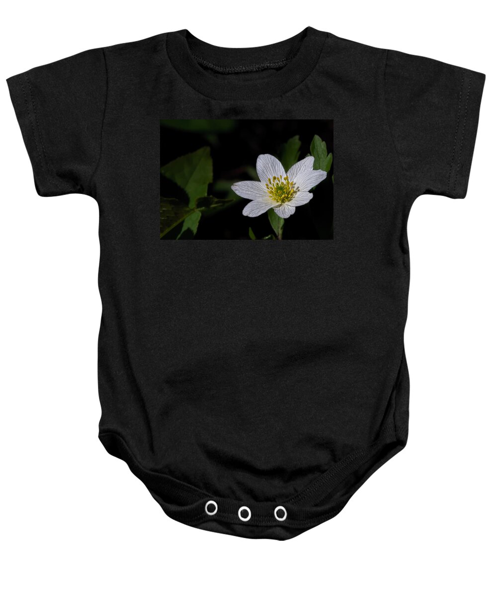 Enk�ping Baby Onesie featuring the photograph Anemone nemorosa by Leif Sohlman by Leif Sohlman