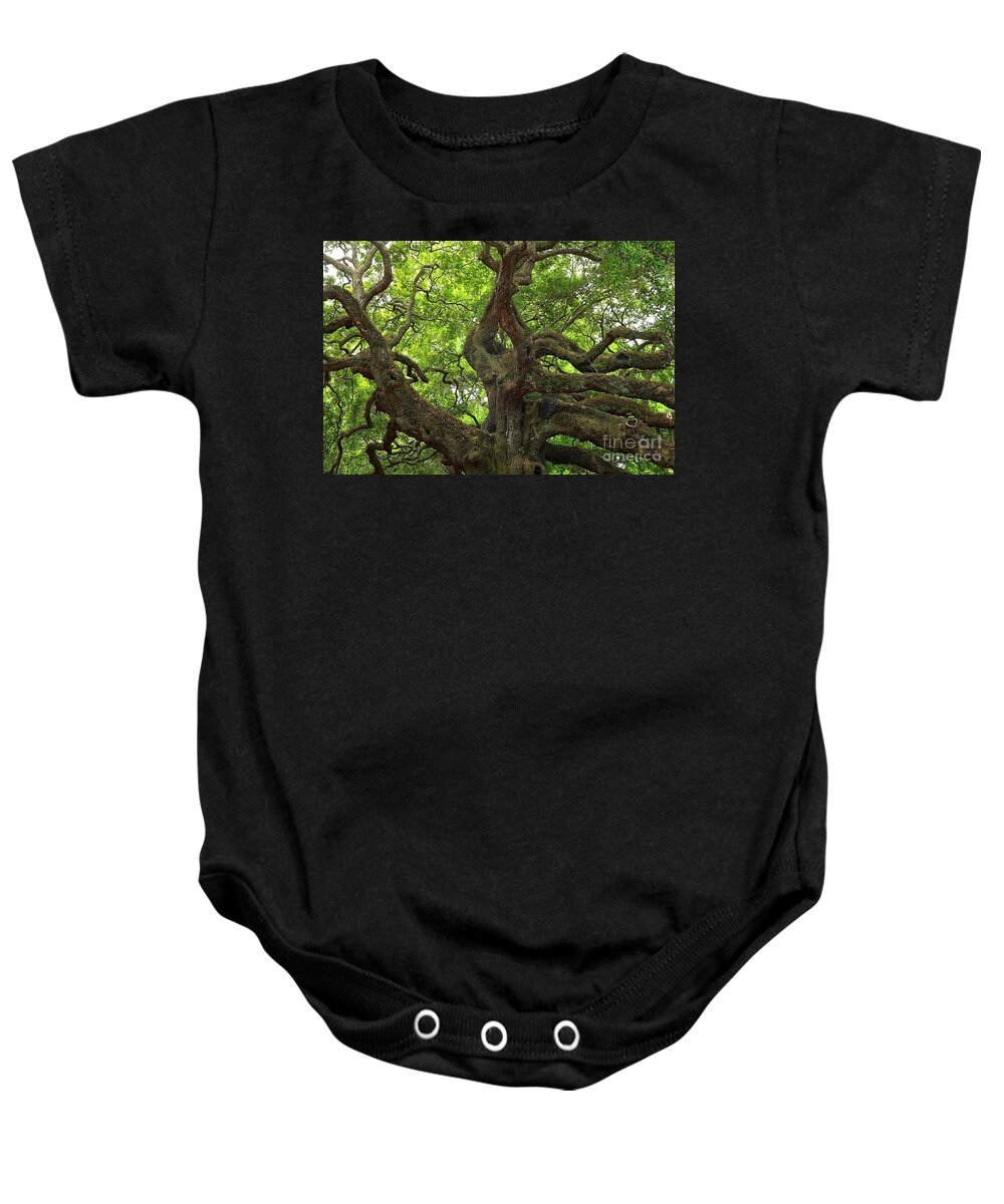 Angel Oak Baby Onesie featuring the photograph Angel Oak Branches by Adam Jewell