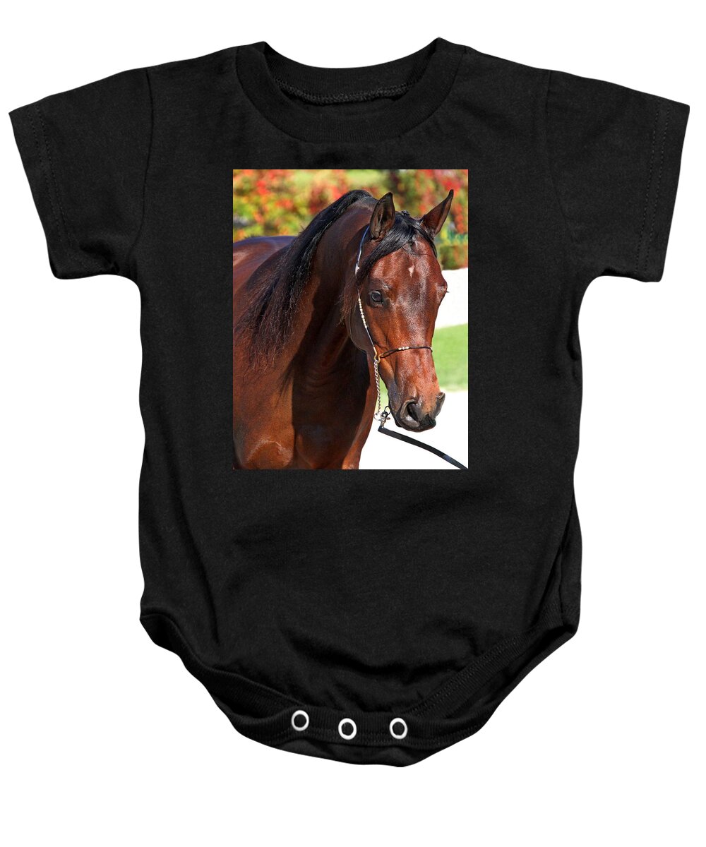 Animal Baby Onesie featuring the photograph Arch Madness by Davandra Cribbie