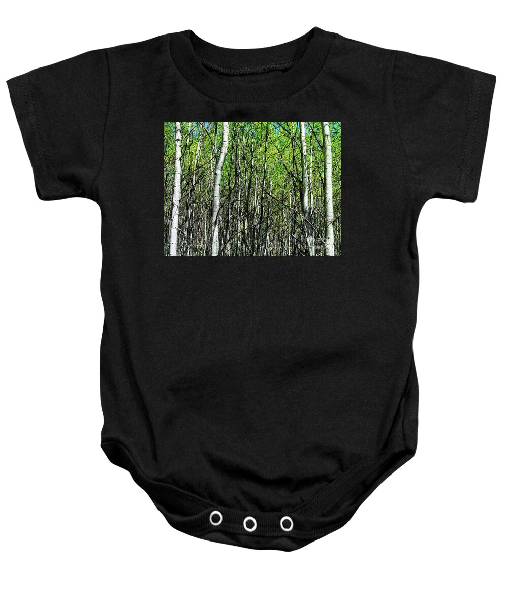 Aspen Baby Onesie featuring the photograph Aspen Trees by Anthony Wilkening