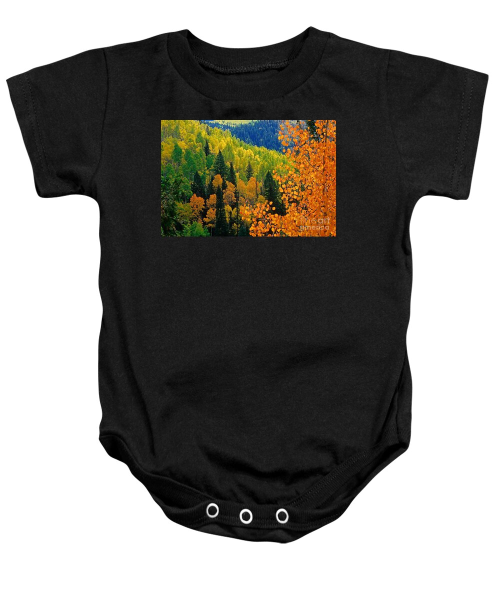 Golden Aspens Baby Onesie featuring the photograph Autumn In Colorado by Richard and Ellen Thane