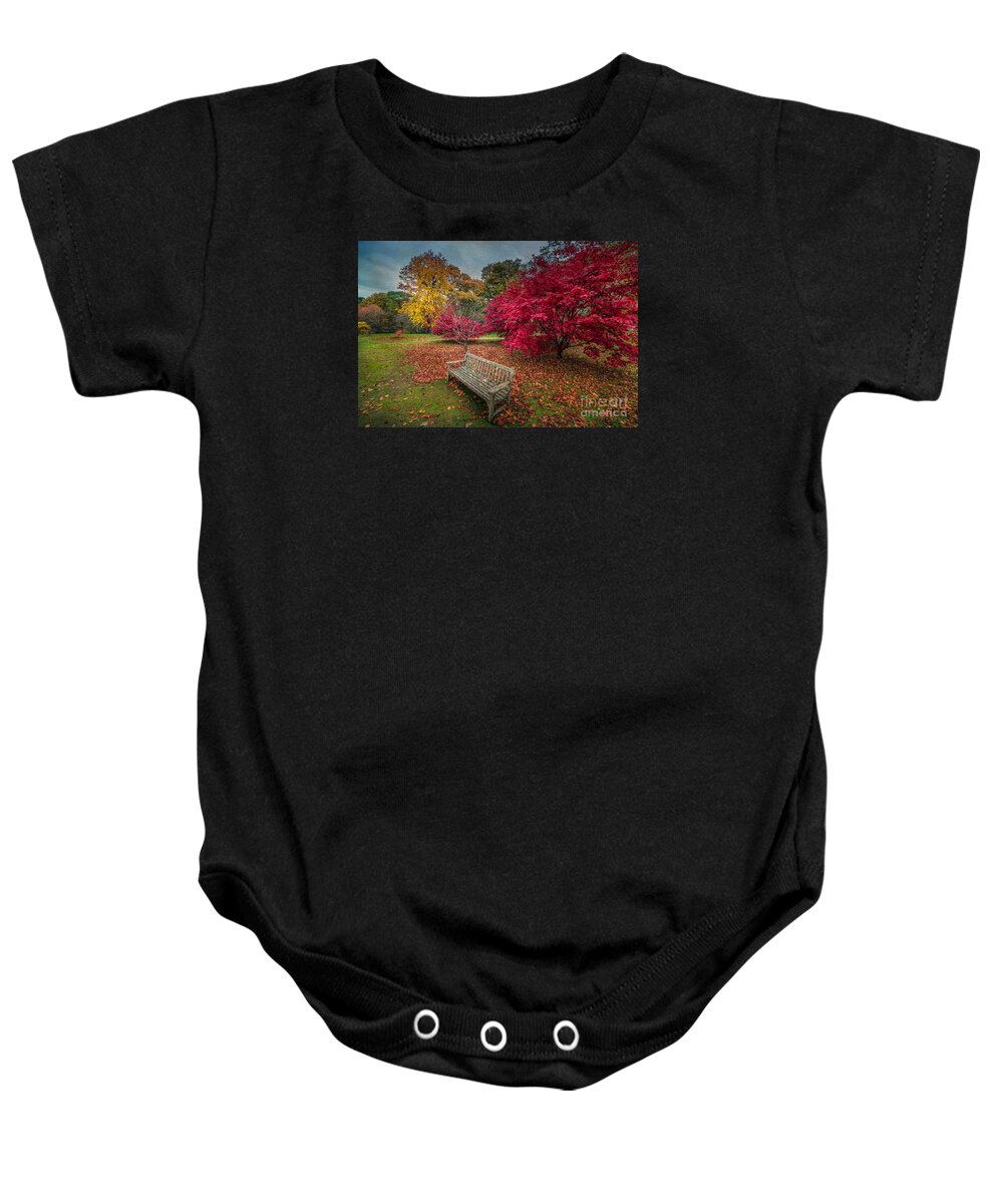 Autumn Baby Onesie featuring the photograph Autumn in the Park by Adrian Evans