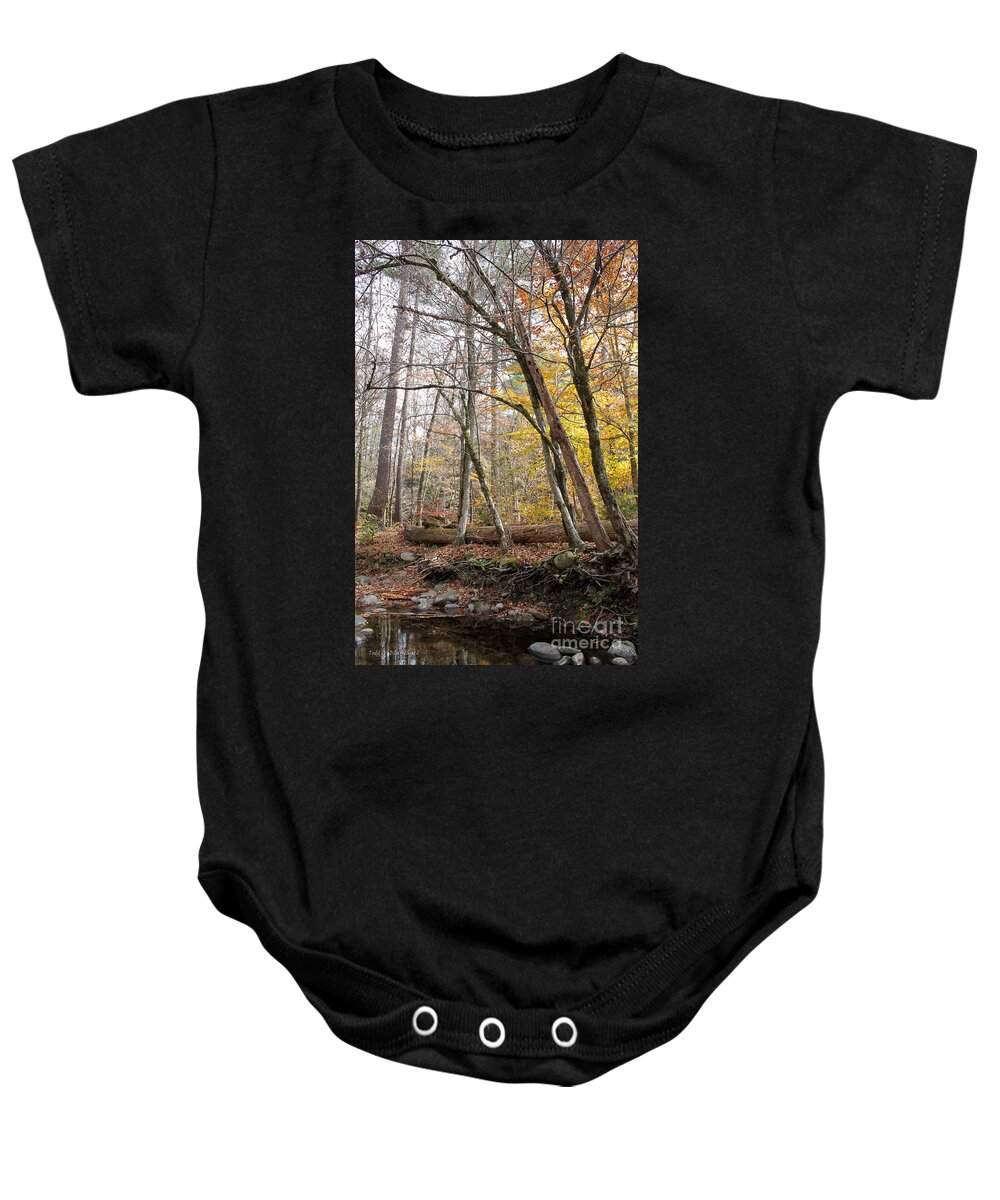 Landscape Baby Onesie featuring the photograph Autumn Seclusion by Todd Blanchard